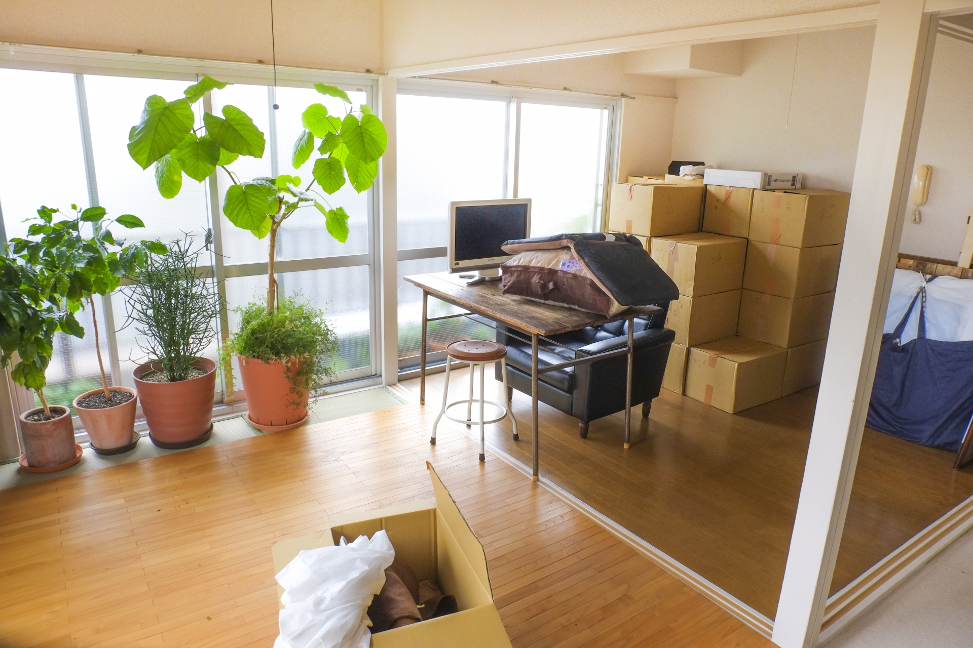 藤沢市で家具移動や搬出は湘南くらしの本舗にお任せください - 藤沢市