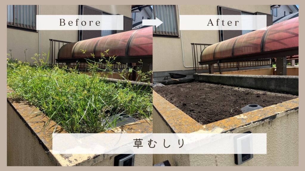 草むしり