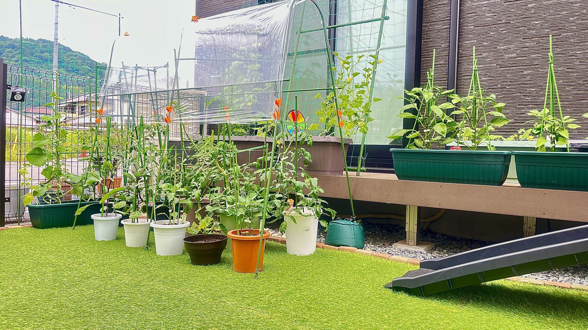 藤沢市で植木鉢・陶器・盆栽の処分なら「湘南くらしの本舗」におまかせ 